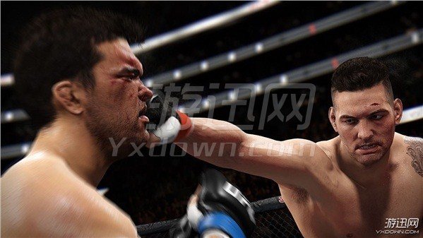 UFC2 PC