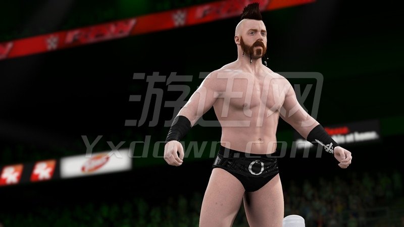 WWE 2K16 ƽ