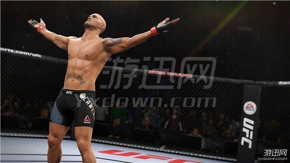 UFC2 PC