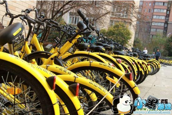 ofo˦칫ô ofo˦칫ʲôСϷ