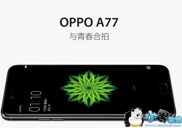 oppo a77