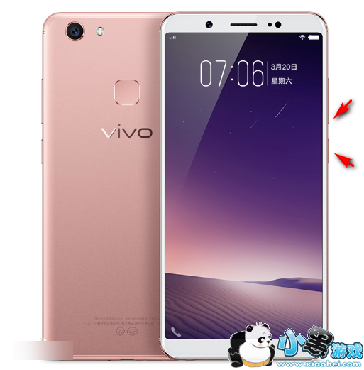 vivo y79