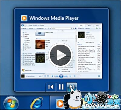 wmp12(windows media player)