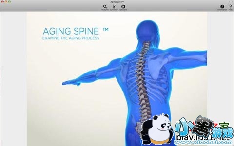 Aging Spine