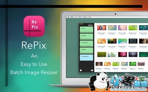 RePix for