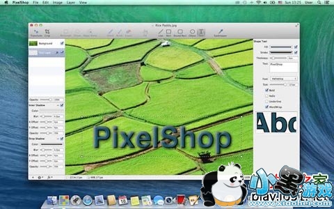 PixelShop