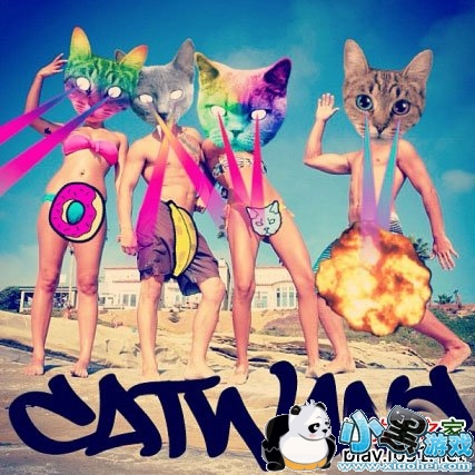 catwang׿