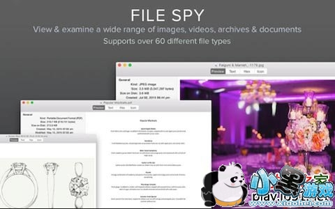 File Spy