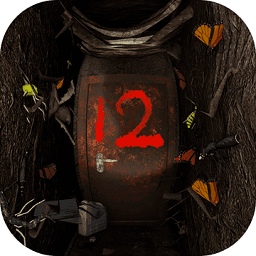 ɰ12޸İ