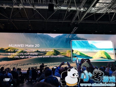 Mate 20