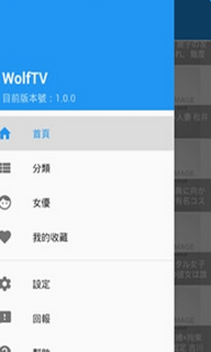 wolftv޸İ