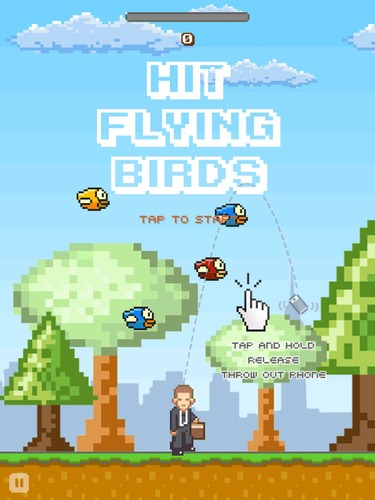 HitFlyingBirds