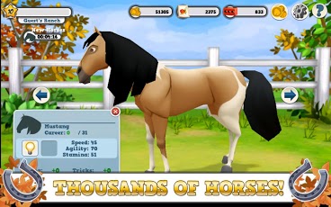 Horse