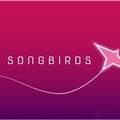 Songbirds