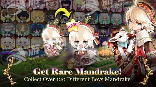 MandrakeBoys