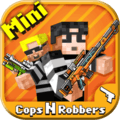 CopsNRobbers