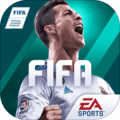 FIFAֻ