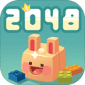 2048Ӵ