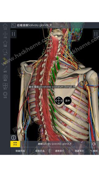 3Dbody׿İ