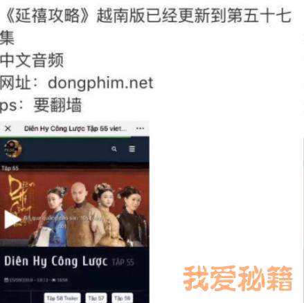 dongphimnetӰV1.0