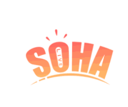 sohaֱV2.8