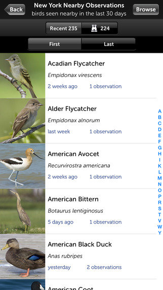 AudubonBirdGuide