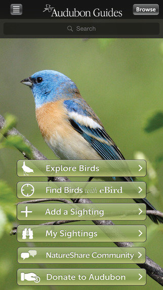 AudubonBirdGuide