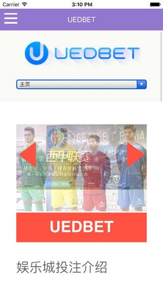 UEDbet