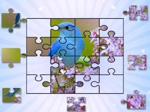 BirdPuzzleToddlerandKids