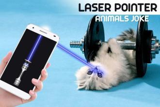 LaserPointerAnimal