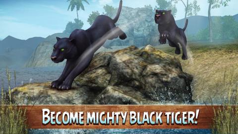 BlackTigerSimulator3D