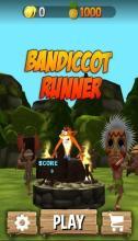 BandicootRunner