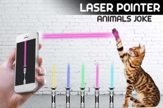 LaserPointerAnimal