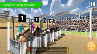 HorseRacing3D:DerbyKings