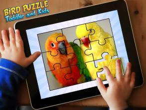 BirdPuzzleToddlerandKids