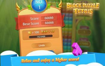 BrickTetrisClassic-BlockPuzzleGame