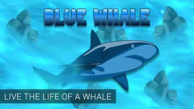 BlueWhaleSharkHuntingSimulator3d