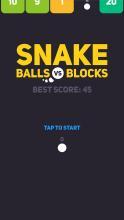 Snake:BallsvsBlocks