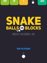 Snake:BallsvsBlocks