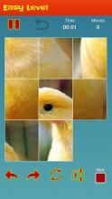 Bird'sPicturePuzzleGame-IQTestForBrain