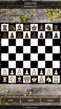 Chesspro?