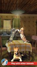 CatSimulatorKitty3D-FREEGAME