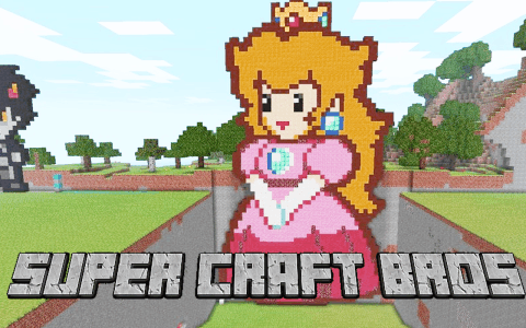 SuperCraftBros