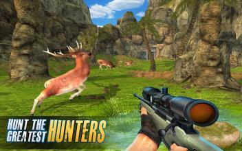 DeerHuntSafariSniperAnimalsHunter