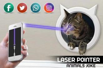 LaserPointerAnimal