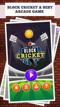 BlockCricket