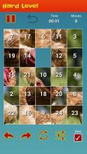 Bird'sPicturePuzzleGame-IQTestForBrain