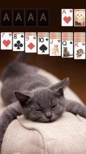 SolitaireCuteCatsTheme