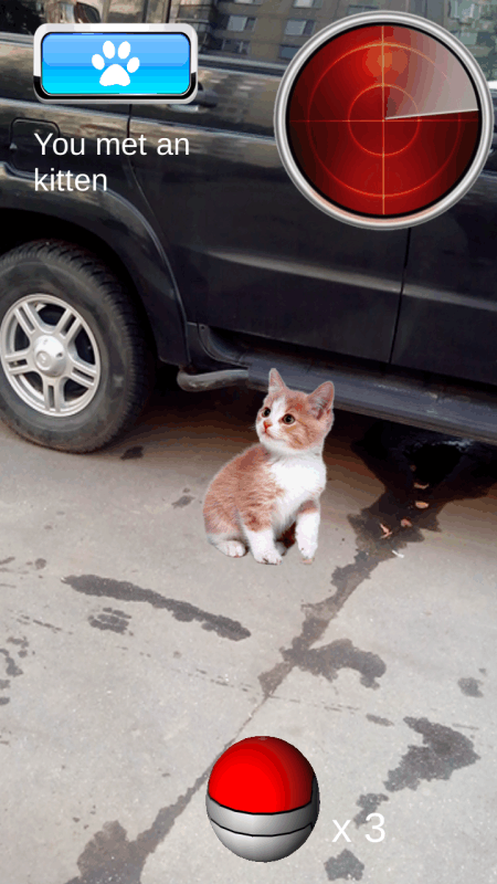 PocketKittenGO