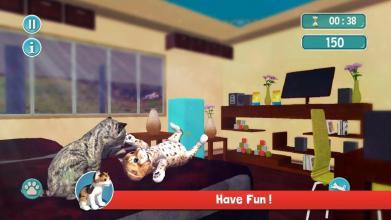 CatSimulatorKitty3D-FREEGAME